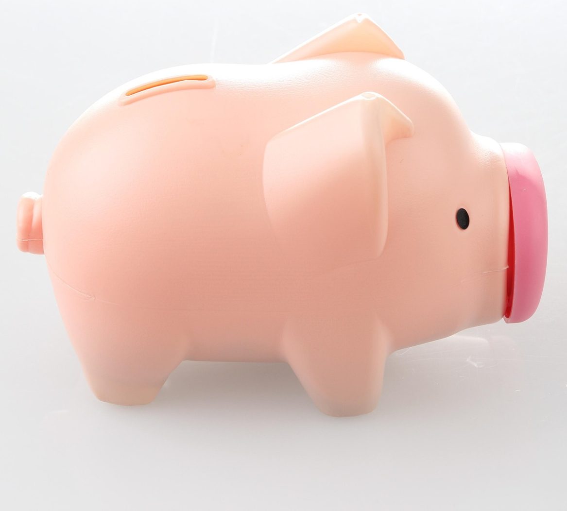 pig, piggy bank, moneybox, piggy bank, piggy bank, piggy bank, piggy bank, piggy bank